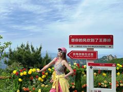 -王莽岭风景区
