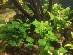 -常州海昌海洋探索馆