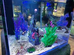 -酷嗒动物文化乐园(cutezoo西溪乐天城店)