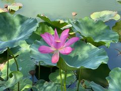 -南戴河国际娱乐中心