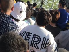 -白洋淀景区