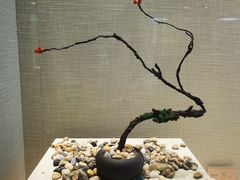 -广东中医药博物馆