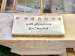 -野草莓自由市场
