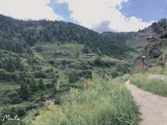 -芦芽山旅游度假区