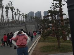 -枫香湖儿童公园