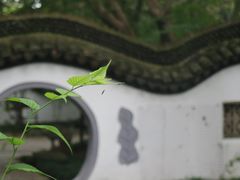 -瀛洲公园