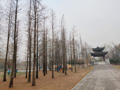 -梁鸿国家湿地公园