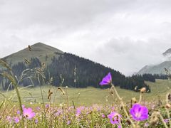 -新疆那拉提国家旅游度假区