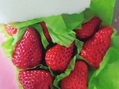 -百果园PAGODA(松佛路店)