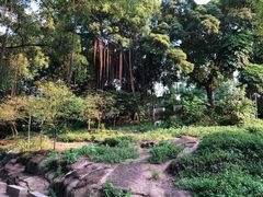 -晓港公园