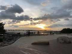 -宝安西湾红树林湿地公园