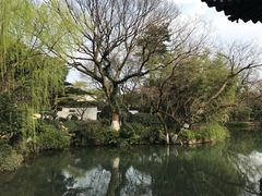 -哥老官重庆美蛙鱼头(西湖银泰十一哥店)