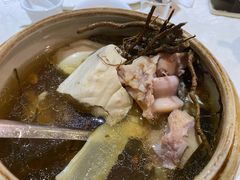 枸杞根嫩豆腐炖猪骨-粤北餐馆