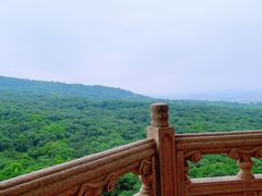 -灵谷景区