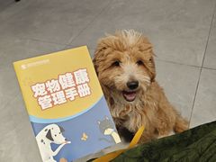 -伟伟宠物医院·CT影像中心·瑞派犬猫综合性门诊(汉口总院)