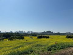 -光明小镇欢乐田园
