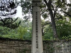 -灵谷景区