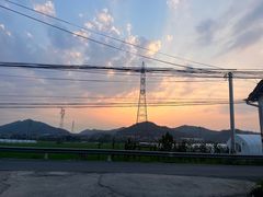 -李东农庄(中南百草园地标店)