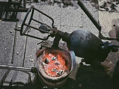 -金沙湖公园