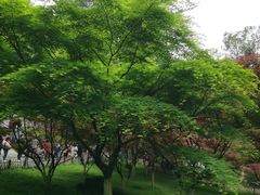 -岳麓山风景名胜区