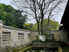 -八大山人梅湖景区