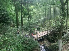 -莫干山风景区