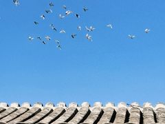 -秋果四合院酒店(北京王府井协和医院店)