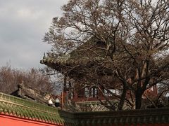 -报恩寺(平武县)