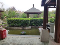 -咸宁万豪温泉谷度假区