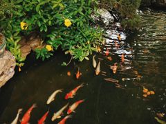 -聚福宝合苑食府(南头镇店)