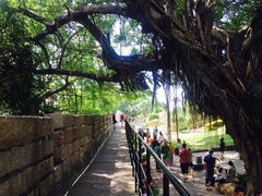 -胡里山炮台