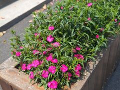 -浙江大学(玉泉校区)