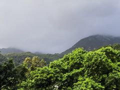 -罗浮山-南楼寺