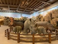 -齐河·老东家·民间菜·地标特色美食