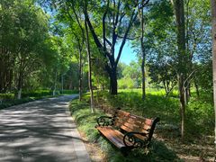 -昆山城市生态森林公园