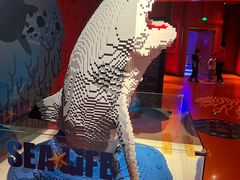 -沈阳海洋探索中心