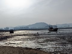 -北岐滩涂