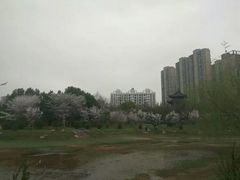 -堤角公园