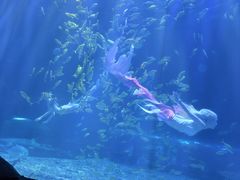 -华夏文旅西安度假区