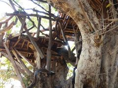 -黄色小屋