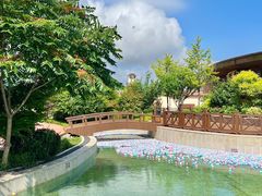 -大连金石滩绿发温泉假日酒店