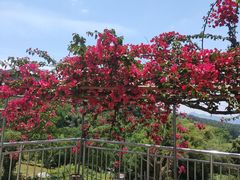 -金水泊山庄·花椒鸡(铁山坪店)