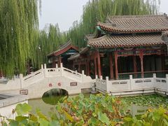 -石家庄市植物园