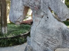 景点-朱家角课植园