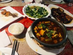 -云中小雅