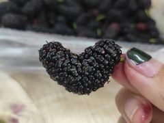 -酱子居酒屋(南洋维也纳花园店)