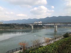 -朝阳正码头
