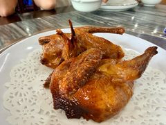 -鸽鸟轩(石岐店)