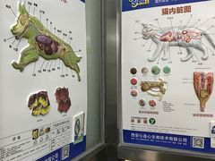 -佳佳动物医院