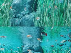 -上海海洋水族馆